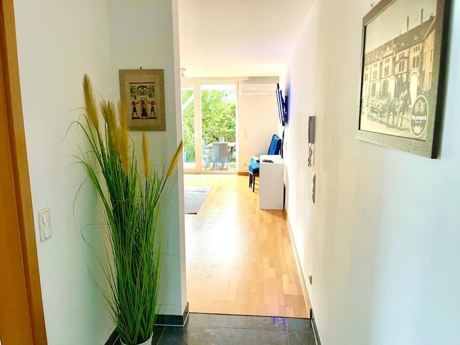 Schoene Wohnung Mit Eigenen Eingang Und Terrasse Gosseling Екстериор снимка