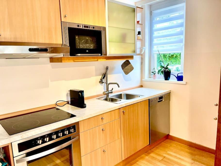 Schoene Wohnung Mit Eigenen Eingang Und Terrasse Gosseling Екстериор снимка